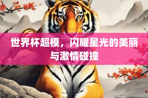 世界杯超模，闪耀星光的美丽与激情碰撞沧州禾苗留学中介服务有限公司