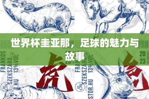 世界杯圭亚那，足球的魅力与故事沧州禾苗留学中介服务有限公司