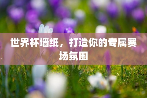 世界杯墙纸，打造你的专属赛场氛围沧州禾苗留学中介服务有限公司