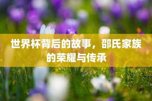 世界杯背后的故事，邵氏家族的荣耀与传承沧州禾苗留学中介服务有限公司