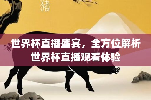 世界杯直播盛宴，全方位解析世界杯直播观看体验