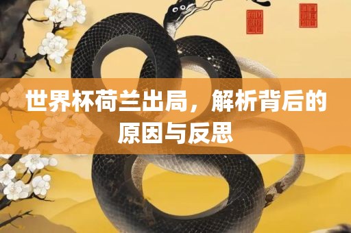 世界杯荷兰出局，解析背后的原因与反思沧州禾苗留学中介服务有限公司