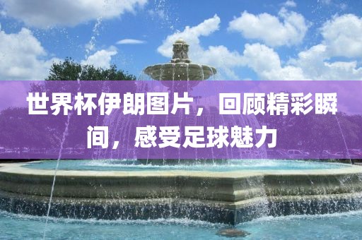 世界杯伊朗图片，沧州禾苗留学中介服务有限公司回顾精彩瞬间，感受足球魅力