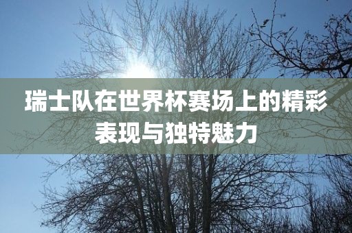 瑞士队在世界杯赛场上的精彩表现与独特魅力沧州禾苗留学中介服务有限公司