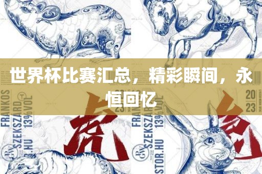 世界杯比赛汇总，精彩瞬间，永恒回忆