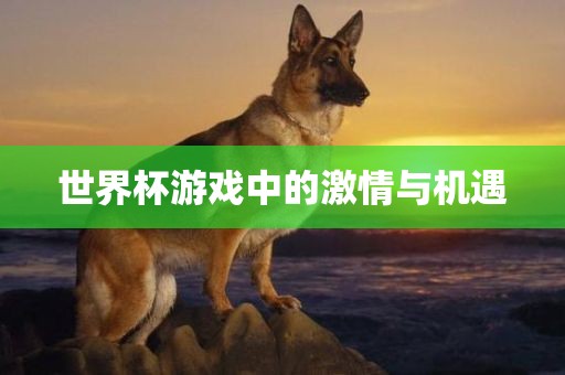 世界杯游戏中的激情与机遇