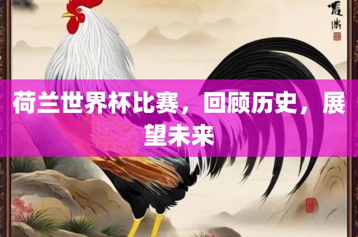 荷兰世界杯比赛，回顾历史，展望未来