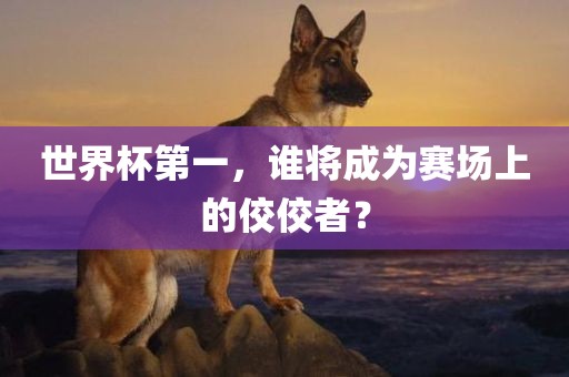 世沧州禾苗留学中介服务有限公司界杯第一，谁将成为赛场上的佼佼者？