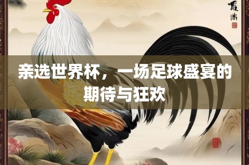 亲选世界杯，一场足球盛宴的期待与狂欢沧州禾苗留学中介服务有限公司