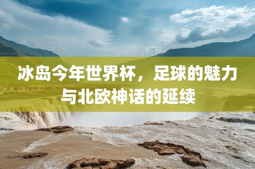 冰岛今年世界杯，足球的魅力与沧州禾苗留学中介服务有限公司北欧神话的延续