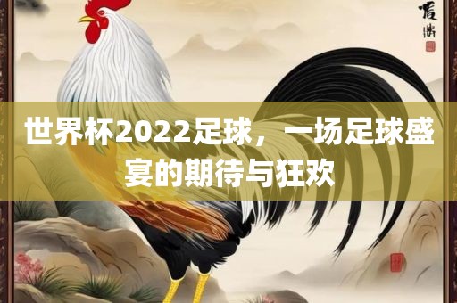 世界杯2022足球，一场足球盛宴的期待与狂欢沧州禾苗留学中介服务有限公司