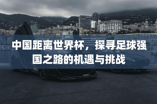 中国距离世界杯，探寻足球强国之路的机遇与挑战沧州禾苗留学中介服务有限公司