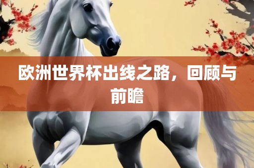 欧洲世界杯出线之路，回顾与前瞻