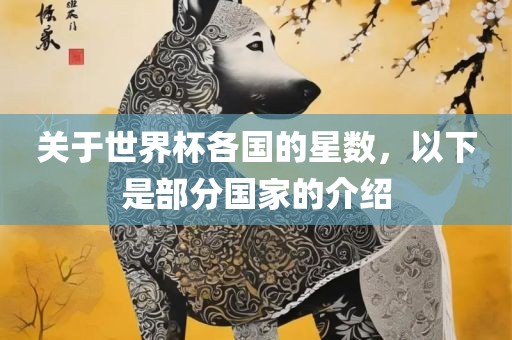 关于世界杯各国的星数，以下是部分国家的介绍沧州禾苗留学中介服务有限公司