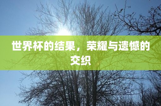 抖音热搜 第17页