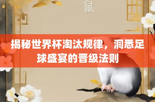 揭秘世界杯淘汰规律，沧州禾苗留学中介服务有限公司洞悉足球盛宴的晋级法则