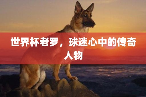 世界杯老罗，球迷心中的传奇人物