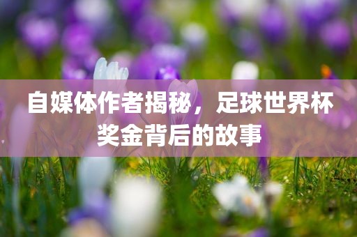 自媒体作者揭秘，足球世界杯奖金背后的故事