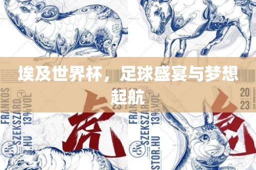埃及世界杯，足球盛宴与梦想起航