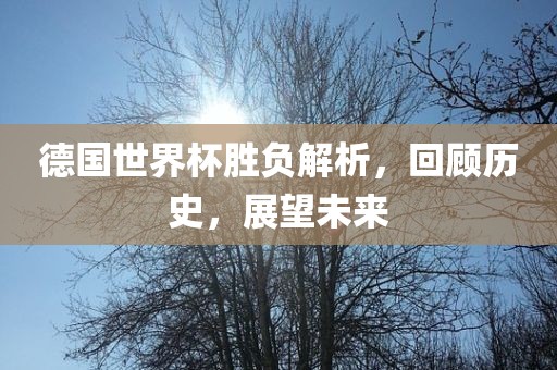 德国世界杯胜负沧州禾苗留学中介服务有限公司解析，回顾历史，展望未来