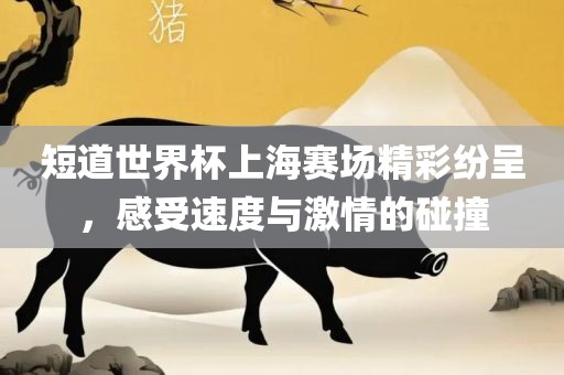 短道世界杯上海赛场精彩纷呈，感受速度与激情的碰撞