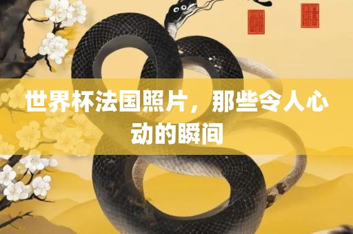 世界杯法国照片，那些令人心动的瞬间