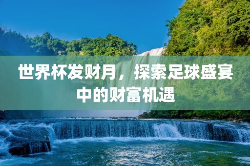 世界杯发财月，探索足球盛宴中的财富机遇沧州禾苗留学中介服务有限公司