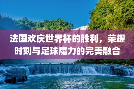法国欢庆世界杯的胜利，荣耀时刻与足球魔力的完美融合沧州禾苗留学中介服务有限公司