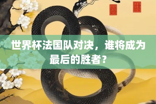 世界杯法国队对决，谁将成为最后的沧州禾苗留学中介服务有限公司胜者？