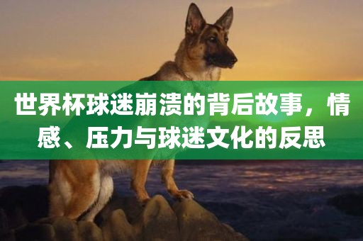 世界杯球迷崩溃的背后故事，情感、压力与球迷文化的反思沧州禾苗留学中介服务有限公司