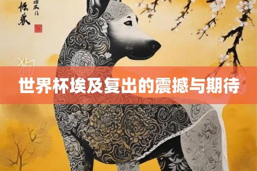 世界杯埃及复出的震撼与期待