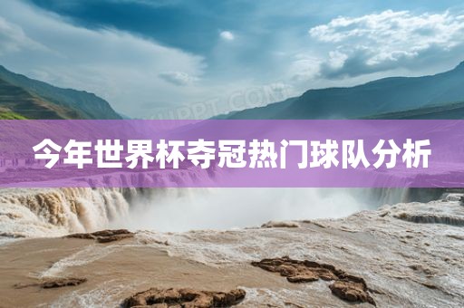 今年世界杯夺冠热门球队分析沧州禾苗留学中介服务有限公司