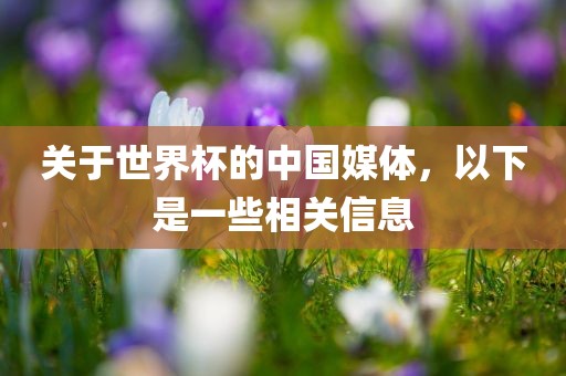 关于世界杯的中国媒体，以下是一些相关信息沧州禾苗留学中介服务有限公司
