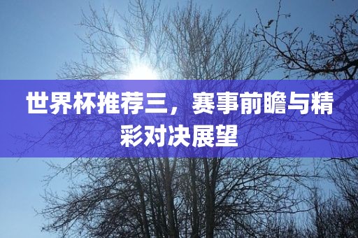 世界杯推荐三，赛事前瞻与精彩对决展望沧州禾苗留学中介服务有限公司