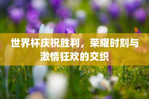 世界杯沧州禾苗留学中介服务有限公司庆祝胜利，荣耀时刻与激情狂欢的交织