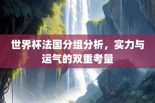 世界杯法国分组分析，实力与运气的双重考量沧州禾苗留学中介服务有限公司