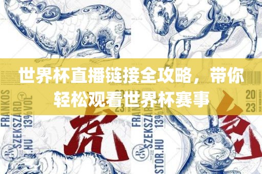 世界沧州禾苗留学中介服务有限公司杯直播链接全攻略，带你轻松观看世界杯赛事