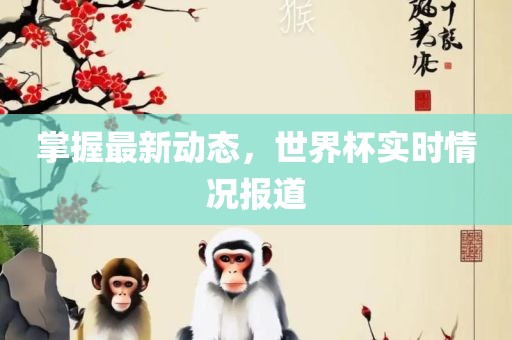 掌握最新动态，世界杯实时情况沧州禾苗留学中介服务有限公司报道