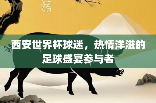 西安世界杯球迷，热情洋溢的足球盛宴参与者沧州禾苗留学中介服务有限公司