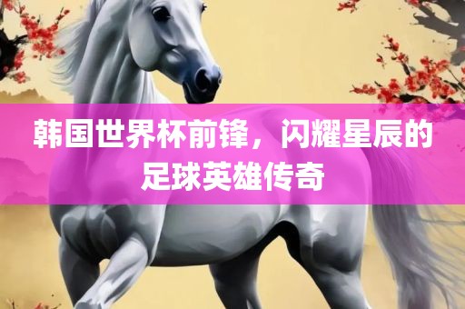 韩国世界杯前锋，闪耀星辰的足球英雄传奇