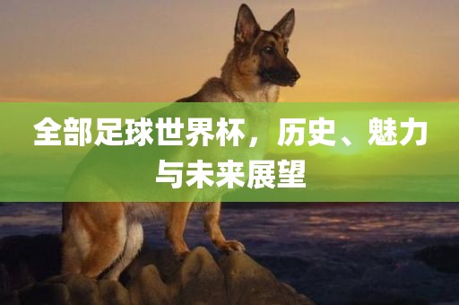 全部足球世界杯，历史、魅力与未来展望