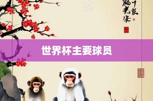 世界杯主要球员