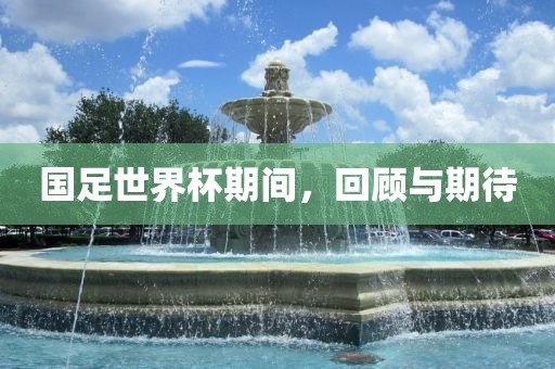 国足世界杯期间，回顾与期待