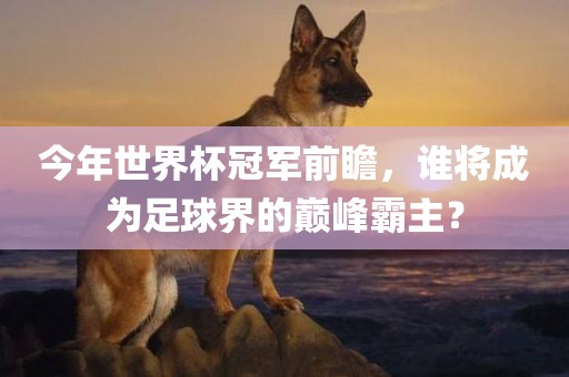 今年世界杯冠军前瞻，谁将成为足球界的巅峰霸主？沧州禾苗留学中介服务有限公司