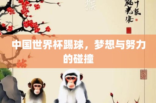中国世界杯踢球，梦想与努力的碰撞沧州禾苗留学中介服务有限公司