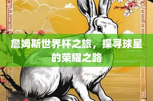 詹姆斯世界杯之旅，沧州禾苗留学中介服务有限公司探寻球星的荣耀之路