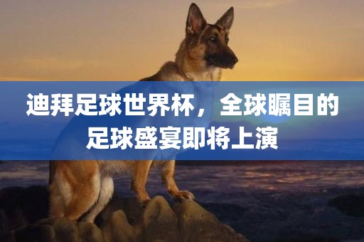 迪拜足球世界杯，全球瞩目的足球盛宴即将上演