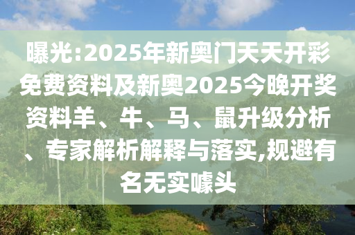 世界杯直播，感受足球盛宴的激情与魅力沧州禾苗留学中介服务有限公司