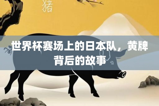 世界杯赛场上的日本队，黄牌背后的故事