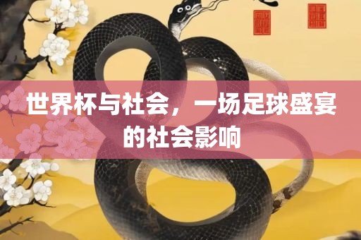 世界杯与社会，一场足球盛宴的社会影响